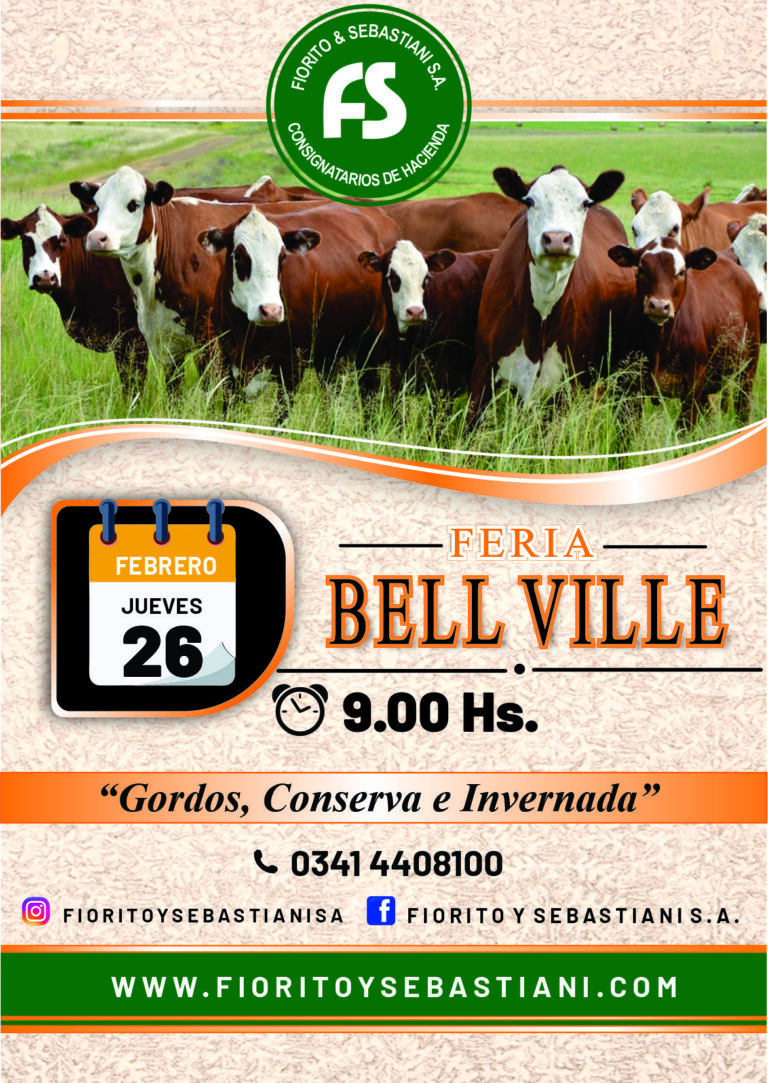 BEL VILLE 26 DE FEBRERO