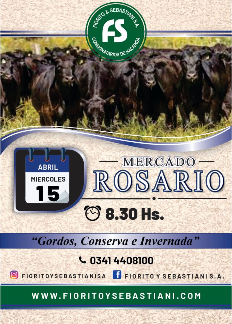 WhatsApp Image 2026-03-26 at 10.09.13 (2)