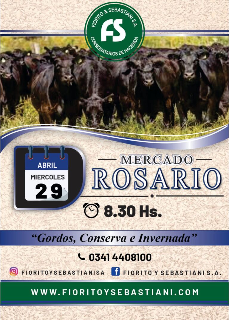 WhatsApp Image 2026-03-26 at 10.09.13