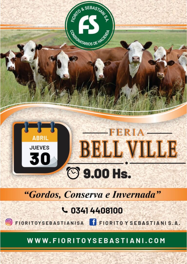 WhatsApp Image 2026-03-26 at 10.09.14 (1)