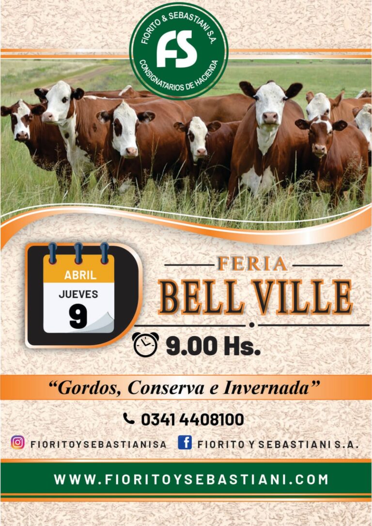 WhatsApp Image 2026-03-26 at 10.09.14 (2)