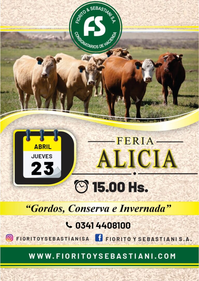 WhatsApp Image 2026-03-26 at 10.09.14 (3)