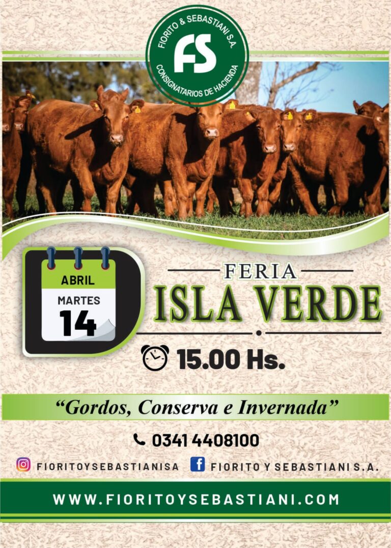 WhatsApp Image 2026-03-26 at 10.09.14