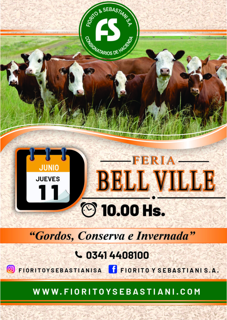 BELL VILLE JUNIO 11