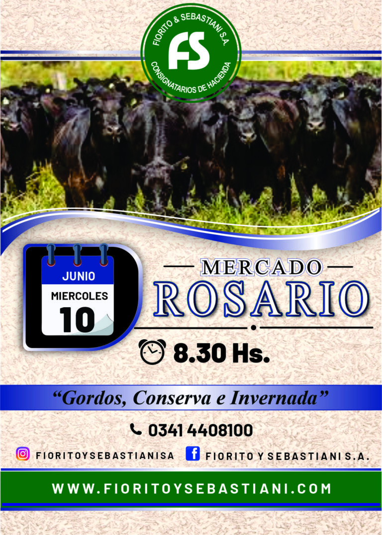 ROSARIO JUNIO 10