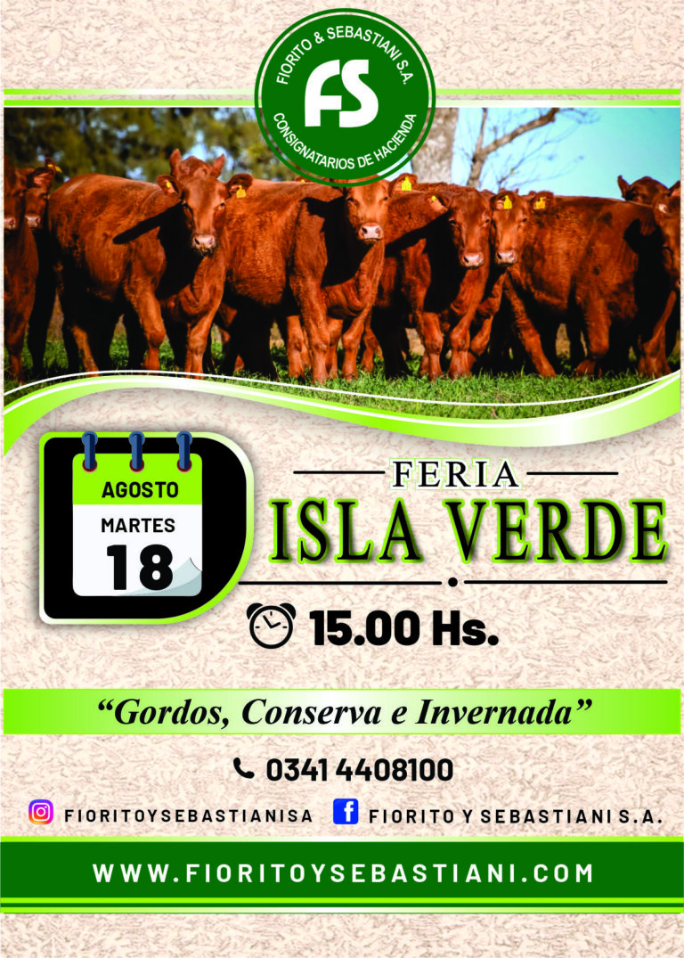 ISLA VERDE AGOSTO 18