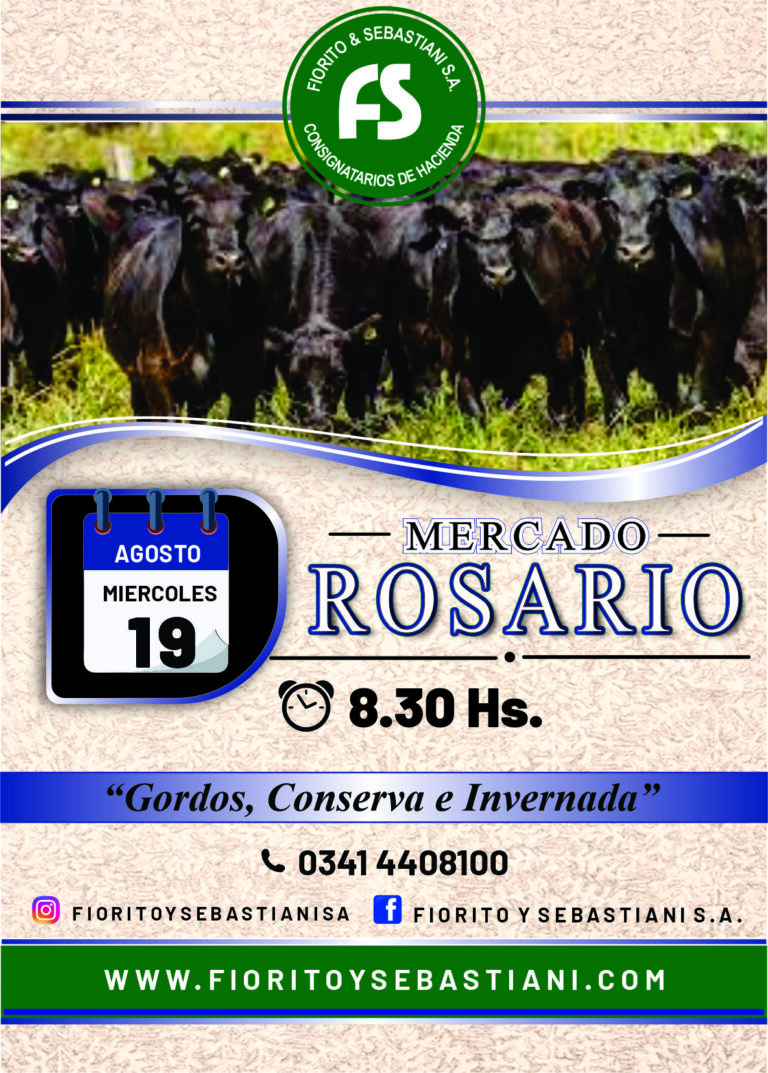 ROSARIO AGOSTO 19