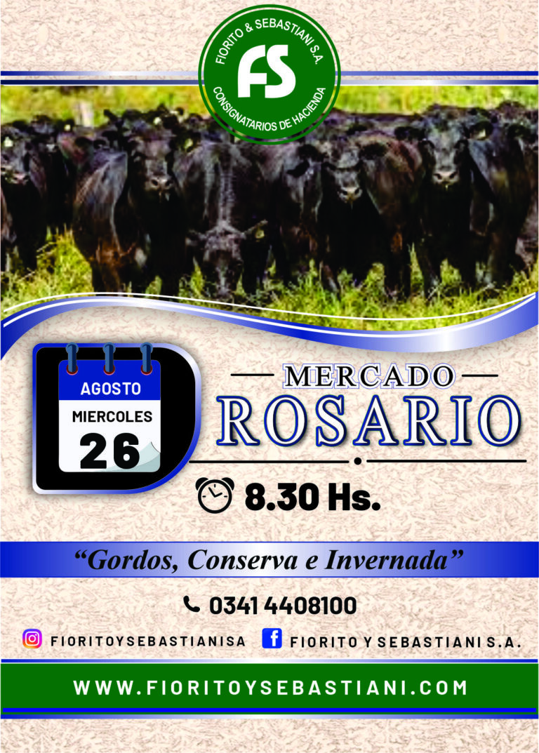 ROSARIO AGOSTO 26