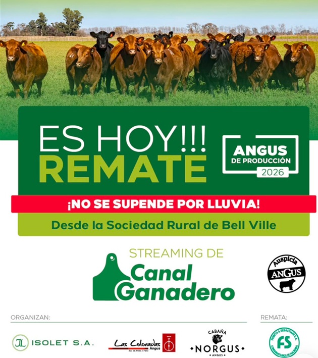 remate 0608